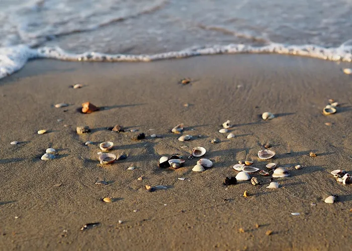 公寓 Lovely Flat In A With Pool - Beahost