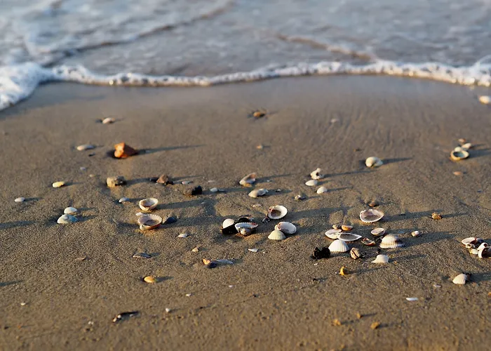 Lovely Flat In A With Pool - Beahost * Bibione